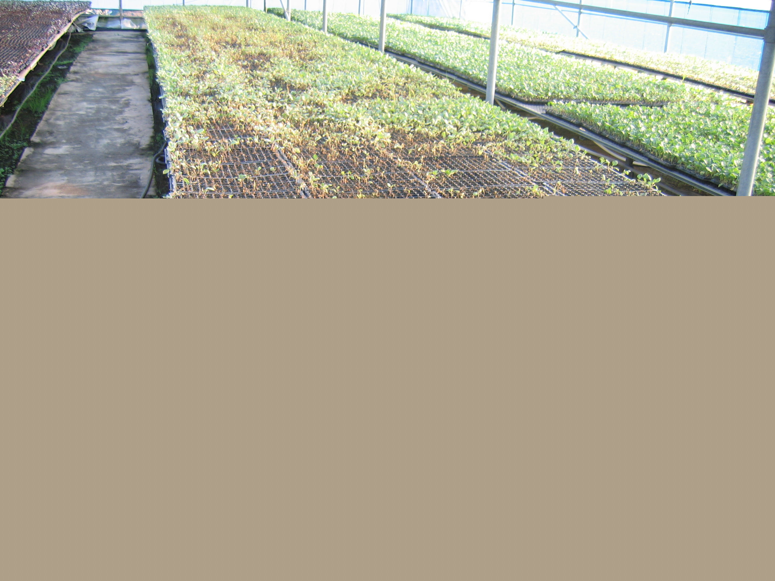 2012 새해 농업인 실용교육(남원농협)